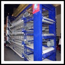 Automatic Layer Cage of H Type to Nigeria